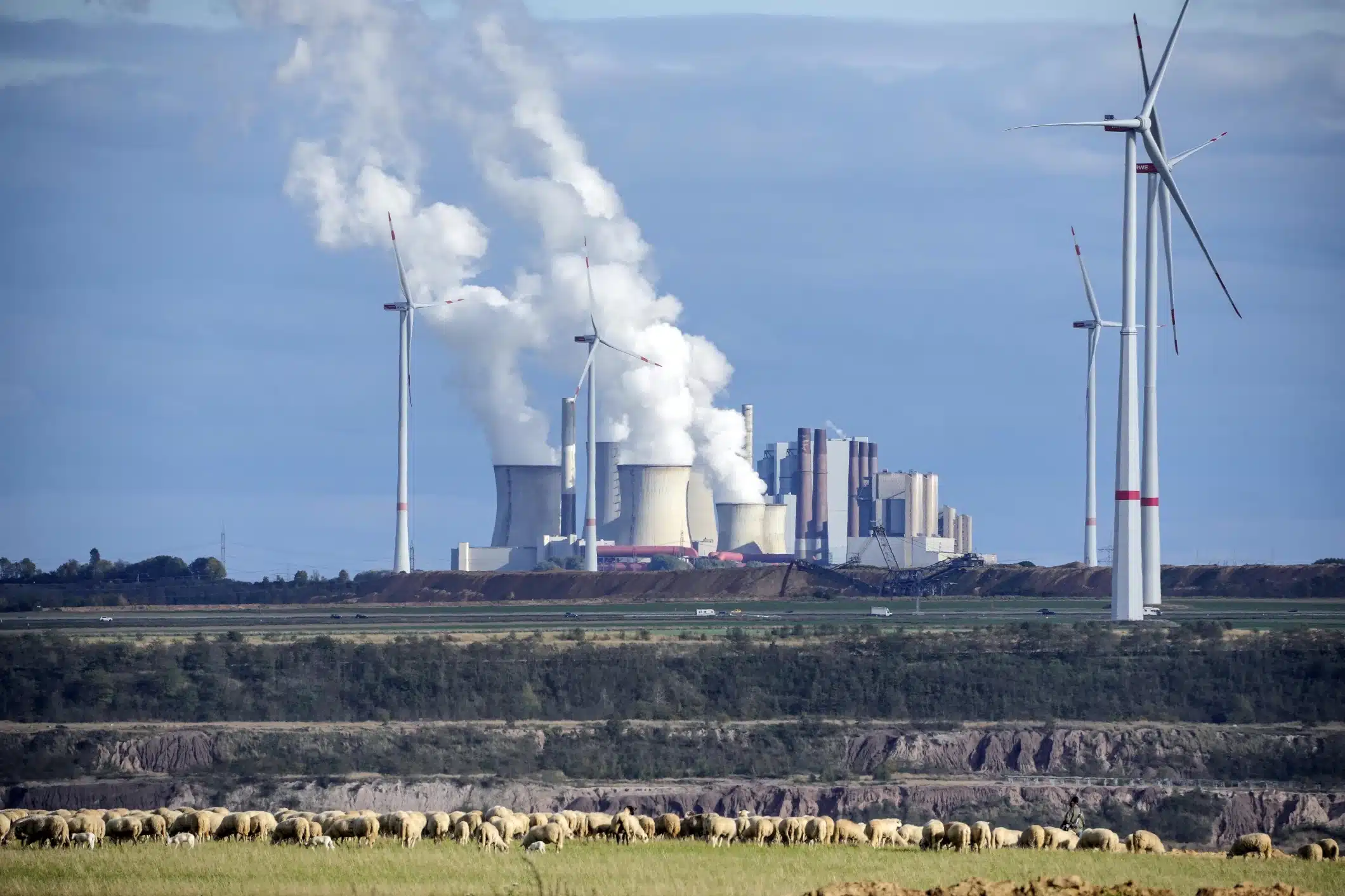 A flock of sheep graze in front of a coal-fired power plant at the Garzweiler open-cast coal mine near Lutzerath, western Germany, Sunday Oct. 16, 2022. The abandoned village of Luetzerath will be the latest village to disappear as coal mining at the Garzweiler mine expands.